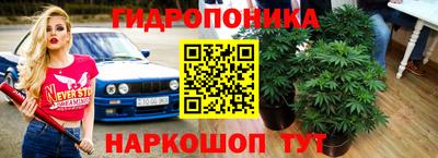 apvp Рыбинск