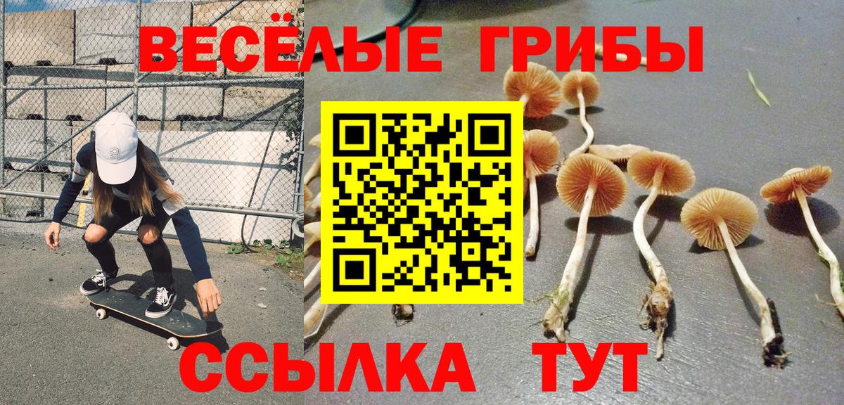 хочу   Вход с VPN  Рубцовск  Галлюциногенные грибы мухоморы  Псилоцибиновые грибы GOLDEN TEACHER 
