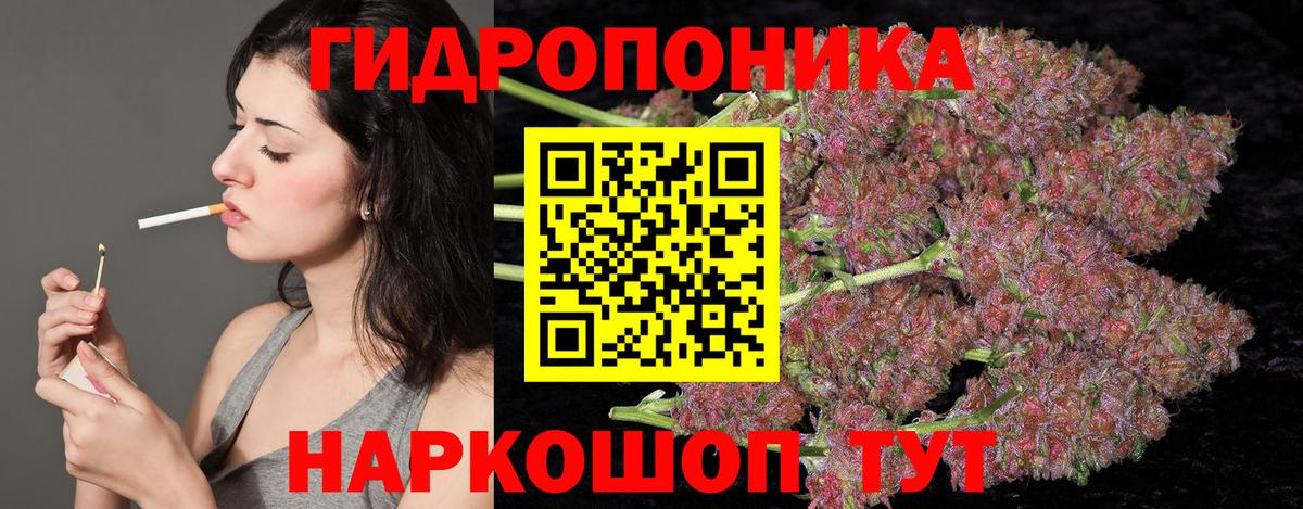 Бошки Шишки марихуана  Вход с VPN  Бошки марихуана MAZAR  Каннабис White Widow  Рубцовск 